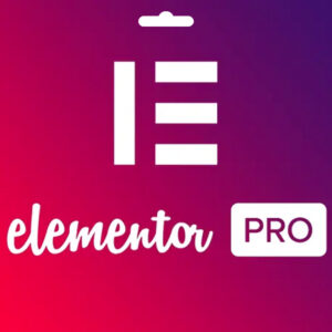 Elementor Pro WordPress Site Düzenleme Eklentisi